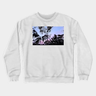 Eucalypts at Dusk, Stawell, June 20, 2017 Crewneck Sweatshirt